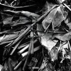 DRASMA002 - Parasitic Virus - Reject & Valerio (Incl. Remixes by Nic Araújo & Kaan Pirecioglu)