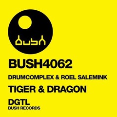 Drumcomplex & Roel Salemink- Dragon - Finalmaster