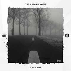 THE SULTAN & Axiom - Funky Tony (Original Mix)