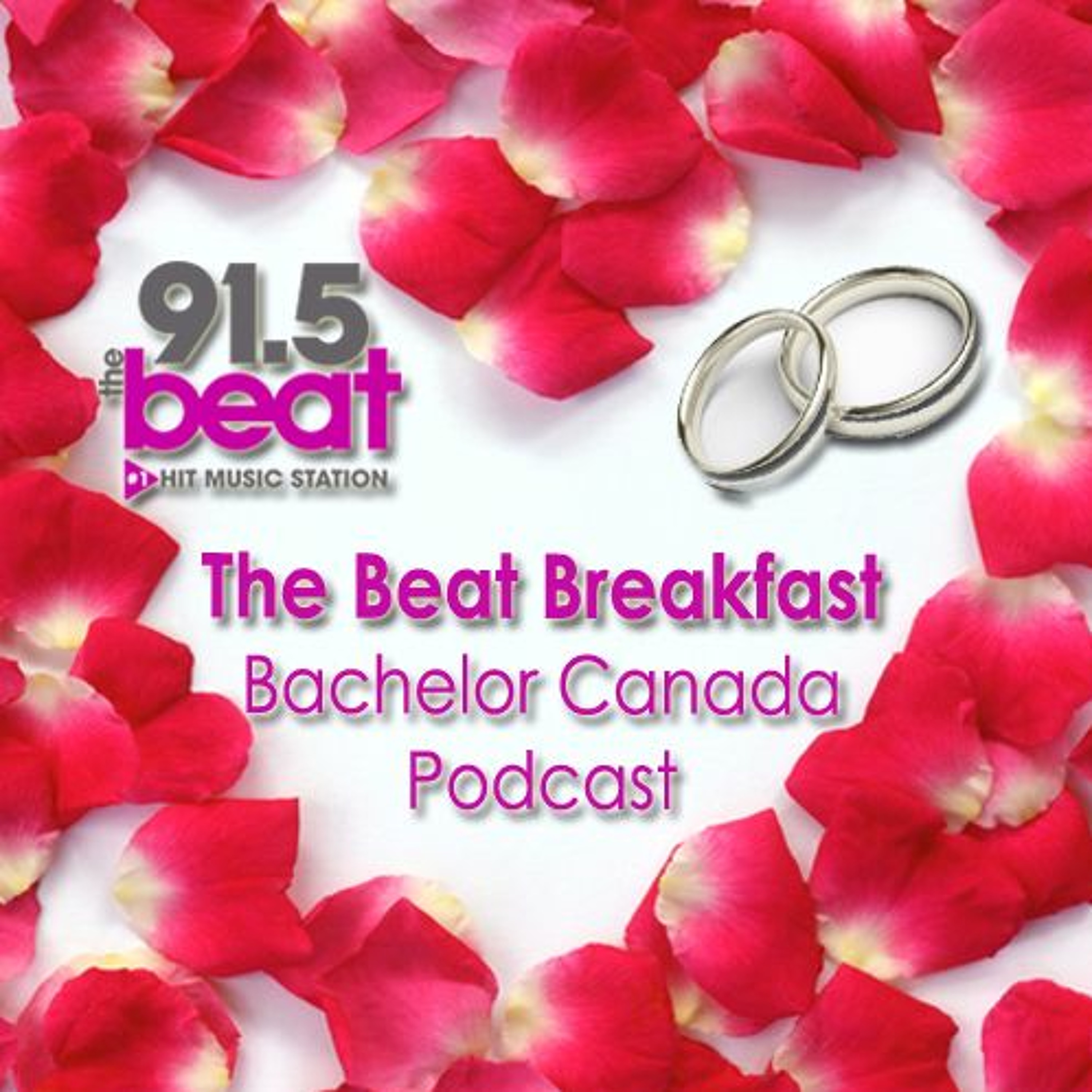 Bachelor Canada Podcast #1-We Talk To "Pricilla the Performer"! episode artwork