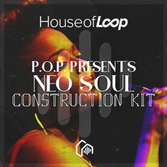 P.O.P Presents Neo Soul Construction Kits