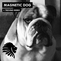 Premiere: Alan Fitzpatrick 'Magnetic Dog' (Trevino Remix)