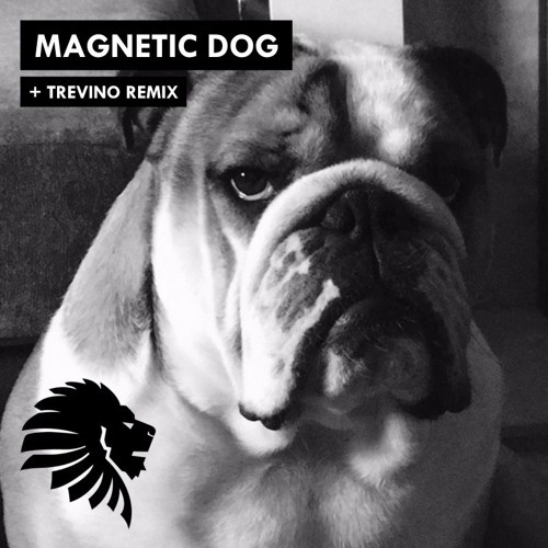 Premiere: Alan Fitzpatrick 'Magnetic Dog' (Trevino Remix)