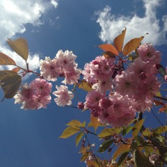 After Winter