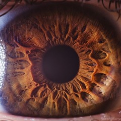 Five senses -Matt & María Rubio