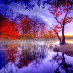 September - Earth Wind & Fire (Cover by Jack Daffin)