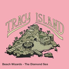 PREMIERE: Beach Wizards - The Diamond Sea (18 MINUTE DISCO VERSION)