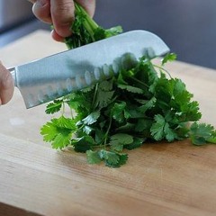 Cilantro