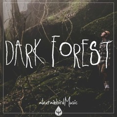 Dark Forest 🦇 - An Indie/Folk/Alternative Playlist