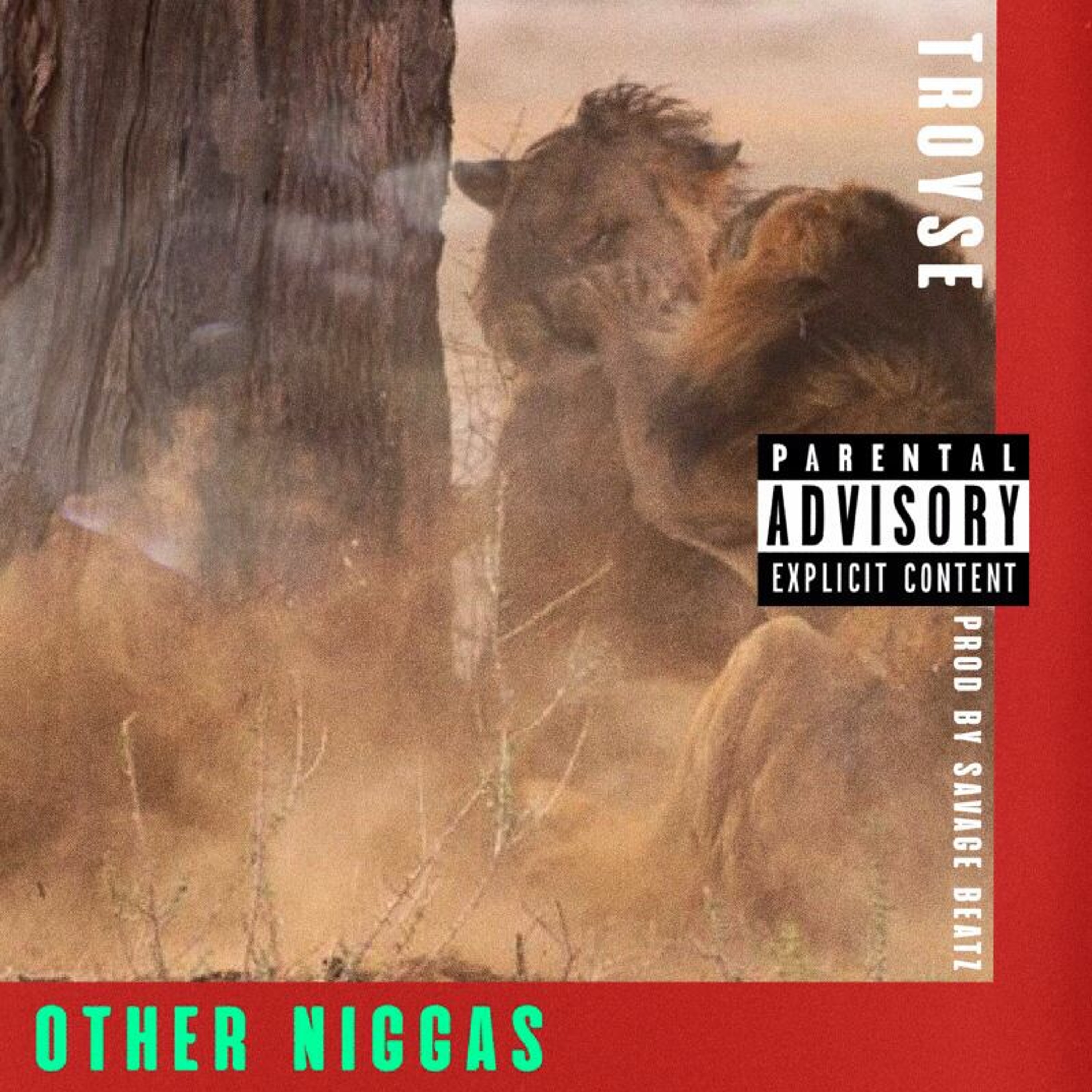 Otha' Niggaz - Troyse episode artwork