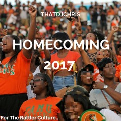 FAMU HOMECOMING 2017