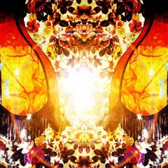 Put the needle on the record : Soulful house / moods / techno / Chill / Rare grooves