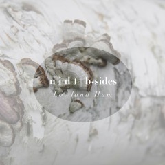 We're All Waiting - Lowland Hum