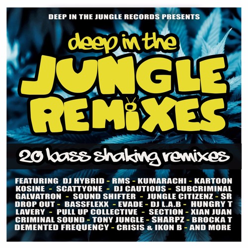 Crisis & Ikon - B - Who Runz Tingz (Sound Shifter Remix)