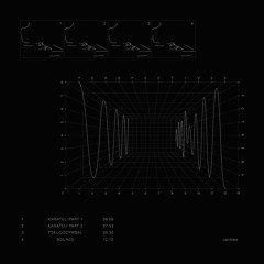 Potreba - Karateli part 1 (fundamentally wrong mix)