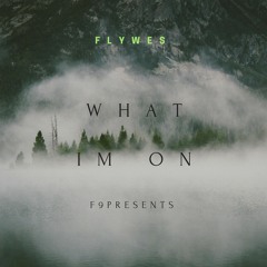 FlyWes x Stedo - What Im On