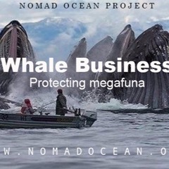 Whales business