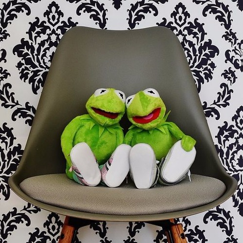 Frog's- Song