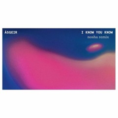 Asgeir - I Know You Know (nosha Remix)