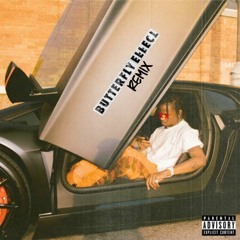 Butterfly Effect Remix