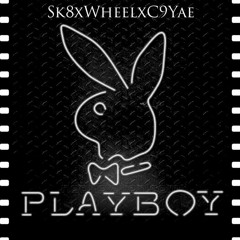 Wheel X C9 X Sk8 - Playboy