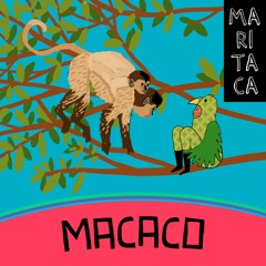 MACACO
