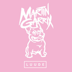 Martin Garrix - Animals (LUUDE Flip)