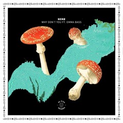 Why Don't You feat. Emma Bass