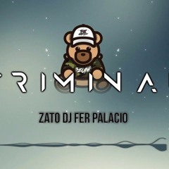 Criminal - Ozuna ✘ ZATO DJ ✘ FER PALACIO