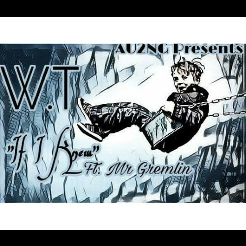 WT(WarTorn) If I Knew Ft. Mr Gremlin