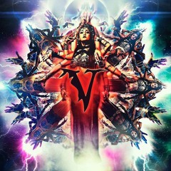 Leeloo (Veil of Maya cover)