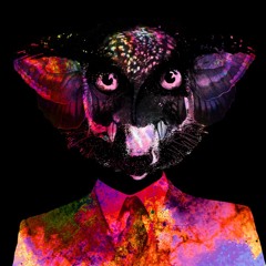 Dont Sleep ft. Aaron Freeman