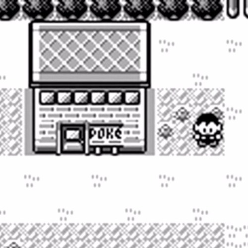 Pokemon Background Music By Raspberry Rowlet