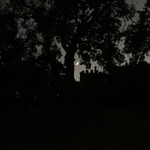 nothingness