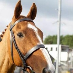 ＧＯＯＤ　ＶＩＢＥＳ