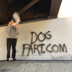 DogFart.com