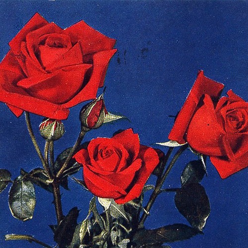 url uv prod. cortdot