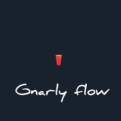 Gnarly Flow - Boonie G ft Tino