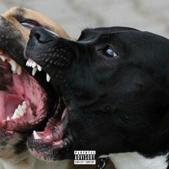 Soarin - Quinten X Khristopher