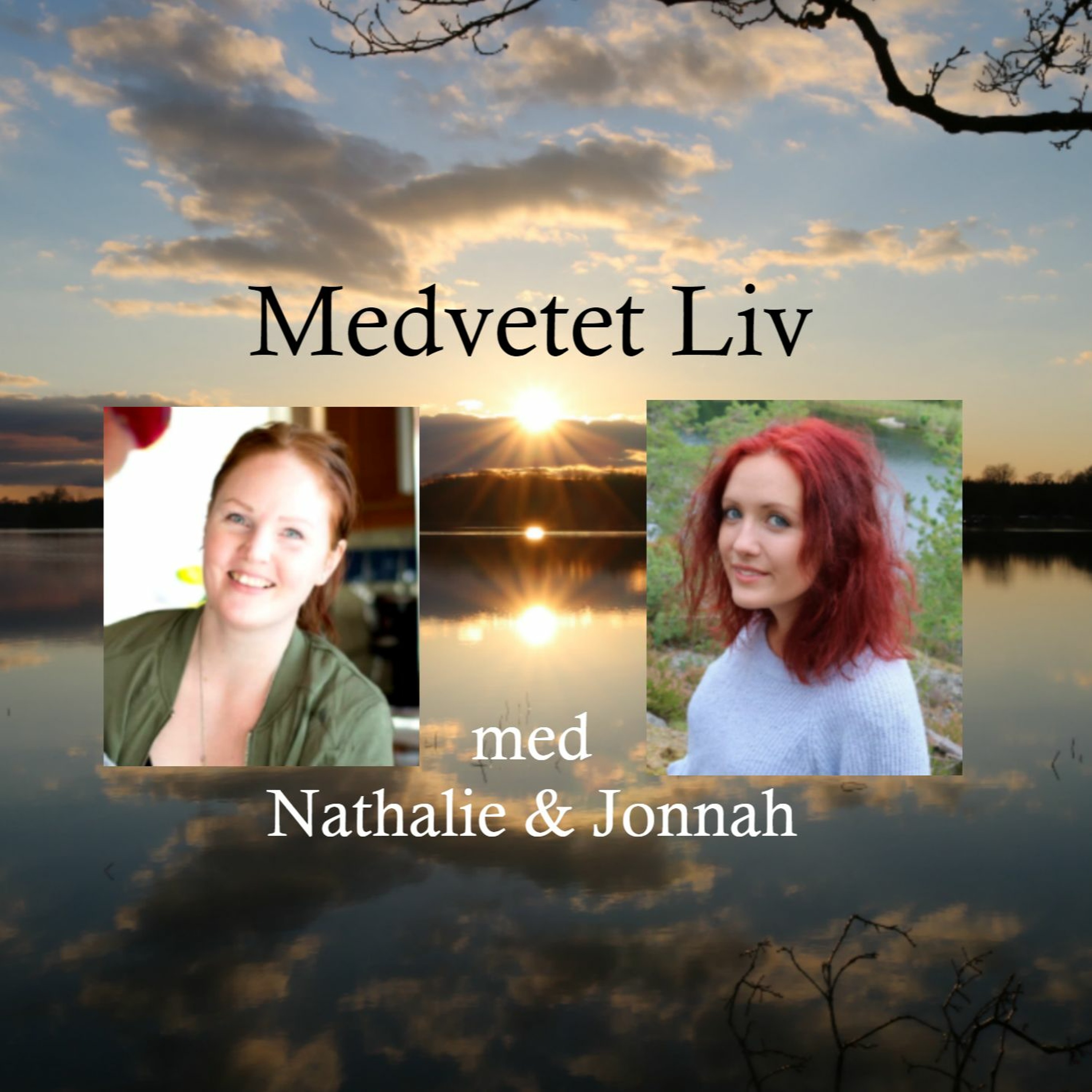 #01 - Introduktion till Medvetet Liv episode artwork