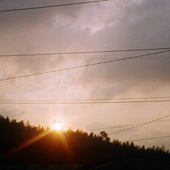 see