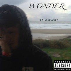 @steelokey - 'Wonder' [unmastered]