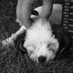 A4 - Duktus - Sugar Hill Loop (Snippet)