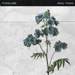 Purslane - Real Thing