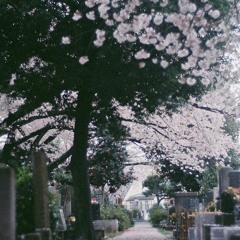 You've been nothing but a fiend to me