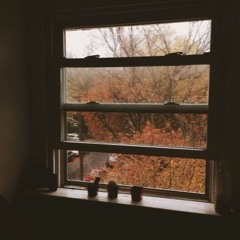 Cannonball (Damien Rice)