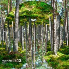 mehrcast 43 - Walker
