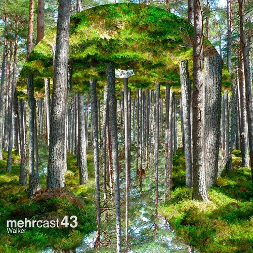 mehrcast 43 - Walker