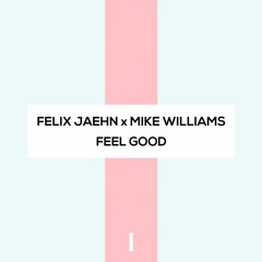 FELIX JAEHN X MIKE WILLIAMS - FEEL GOOD (Elysium63 REMIX)