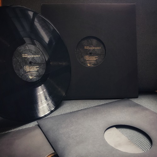 NR002 - Deltitnu - Shaman Among The Machines EP